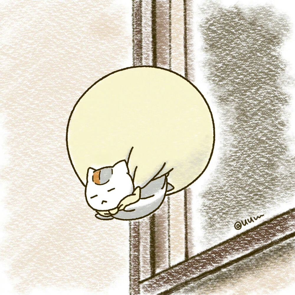 夏天我舍不得你