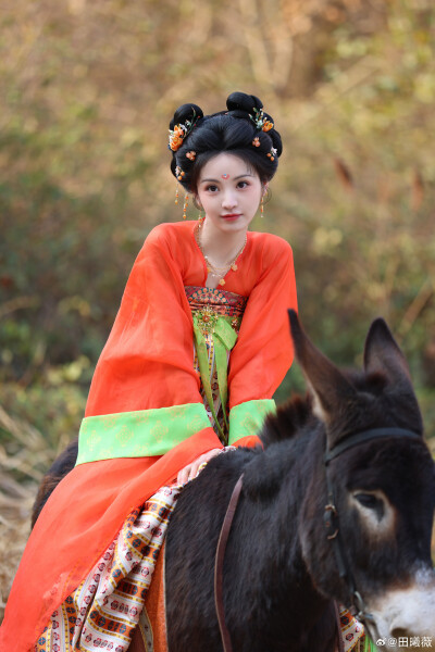 田曦薇