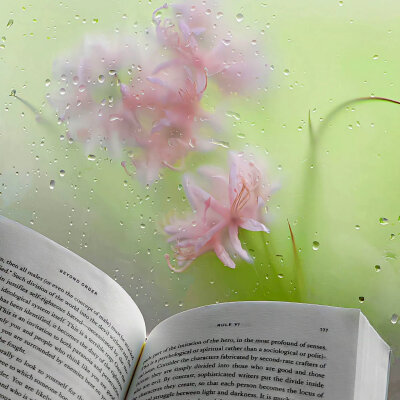 清新风格背景图