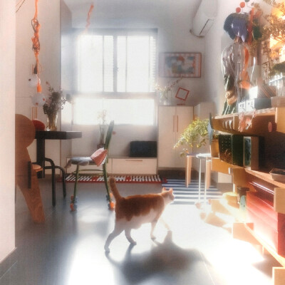 日记里有很多个昨天