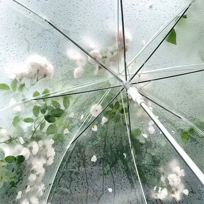 清新风格背景图