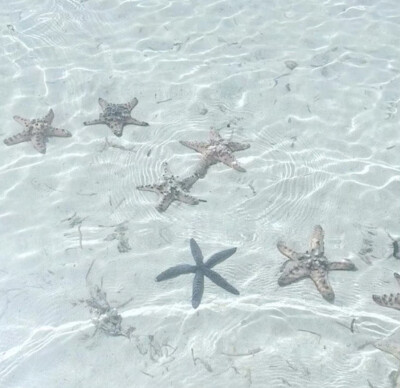  思念像返潮的明信片