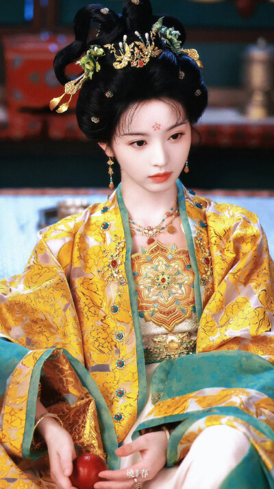 田曦薇 武祯