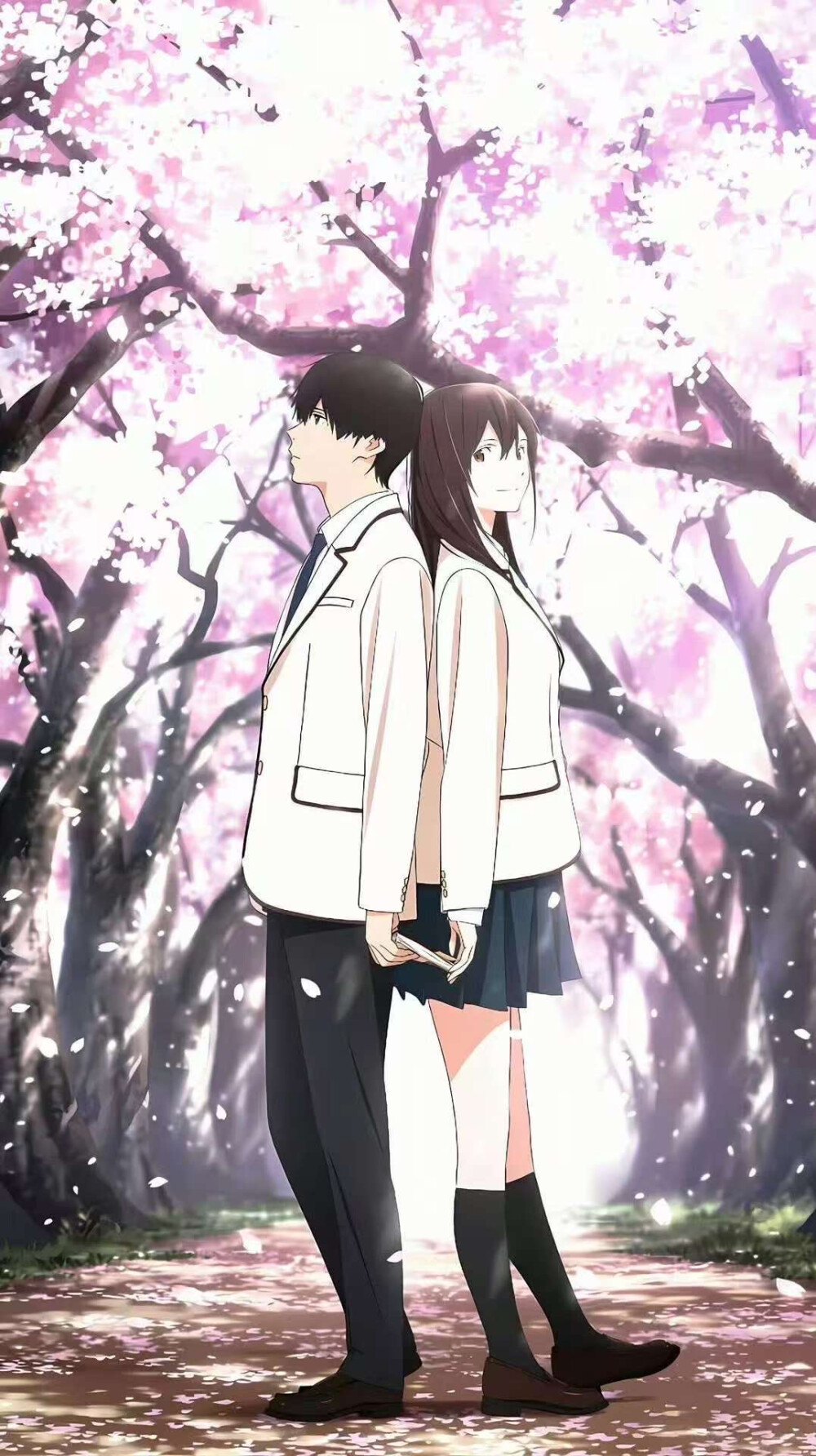 如果重来一定好好爱你