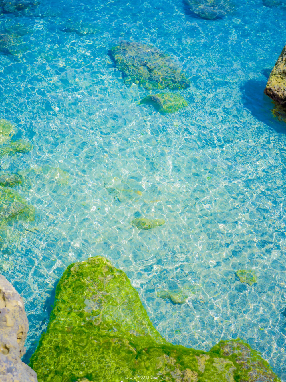 夏天我舍不得你