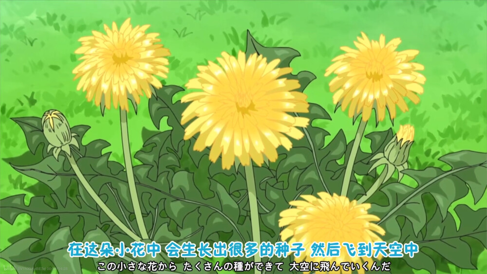 哆啦A梦｜蒲公英