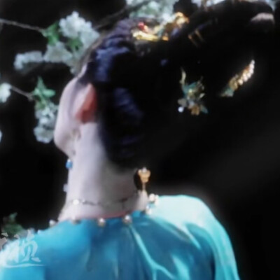 武祯x梅逐雨
