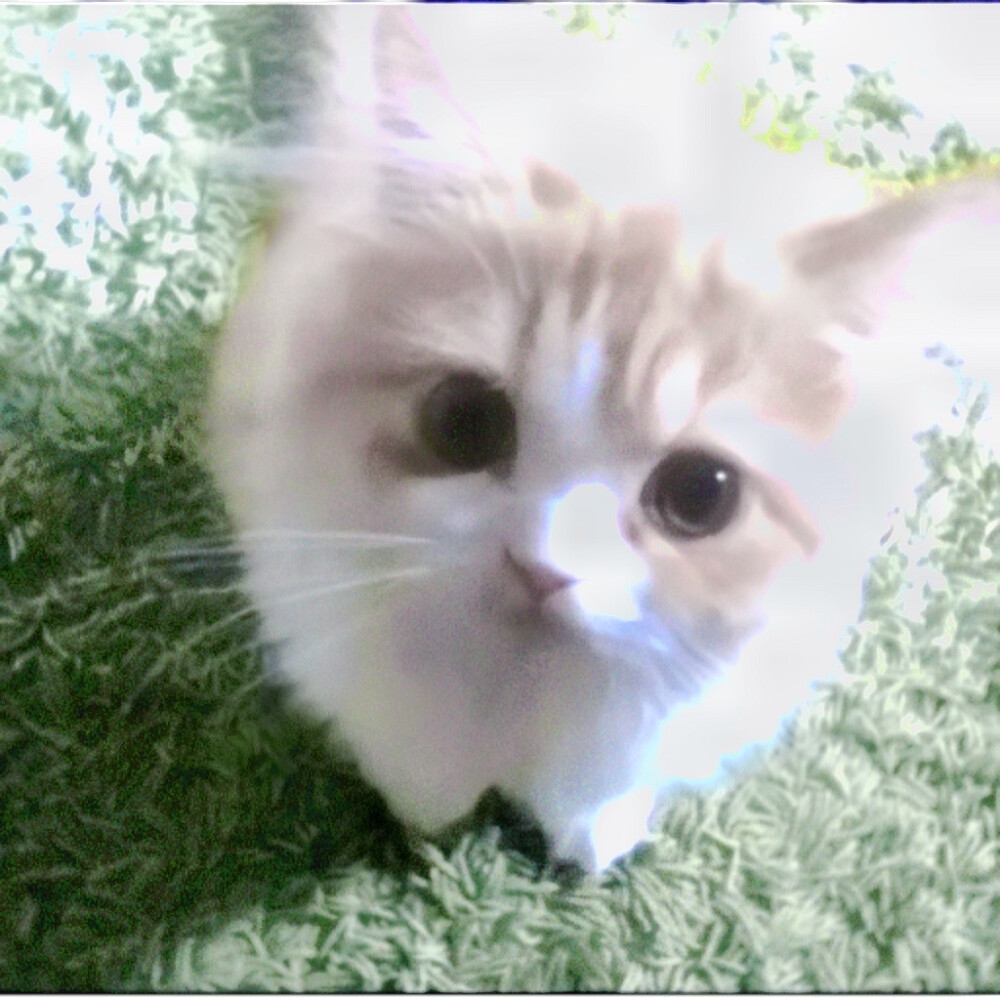 你是我未曾拥有无法捕捉的亲昵