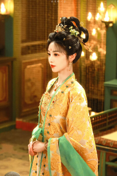 田曦薇 武祯