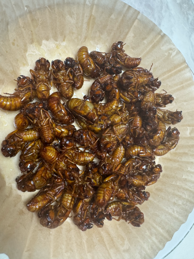 午饭