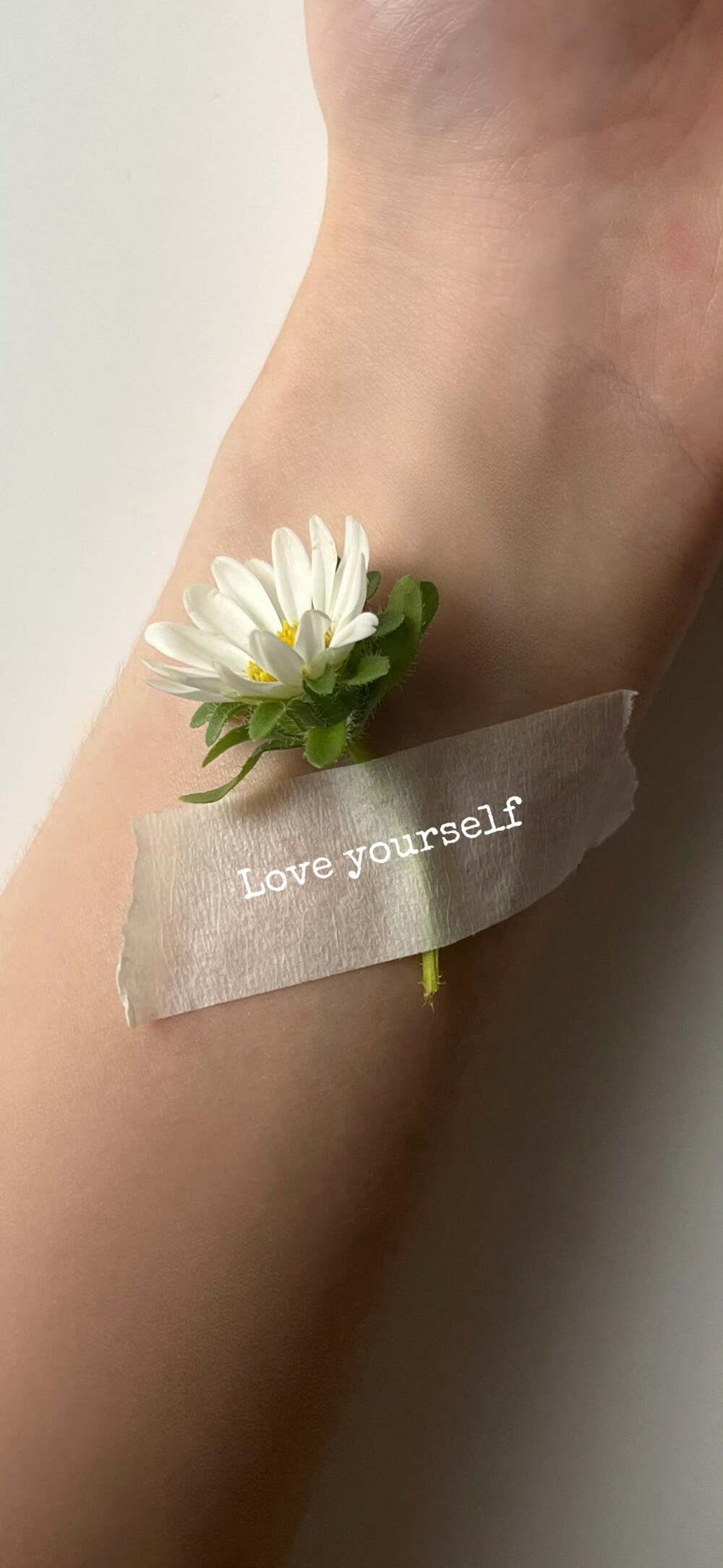 夏天我舍不得你