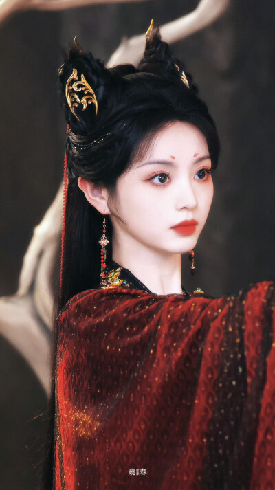 田曦薇 武祯