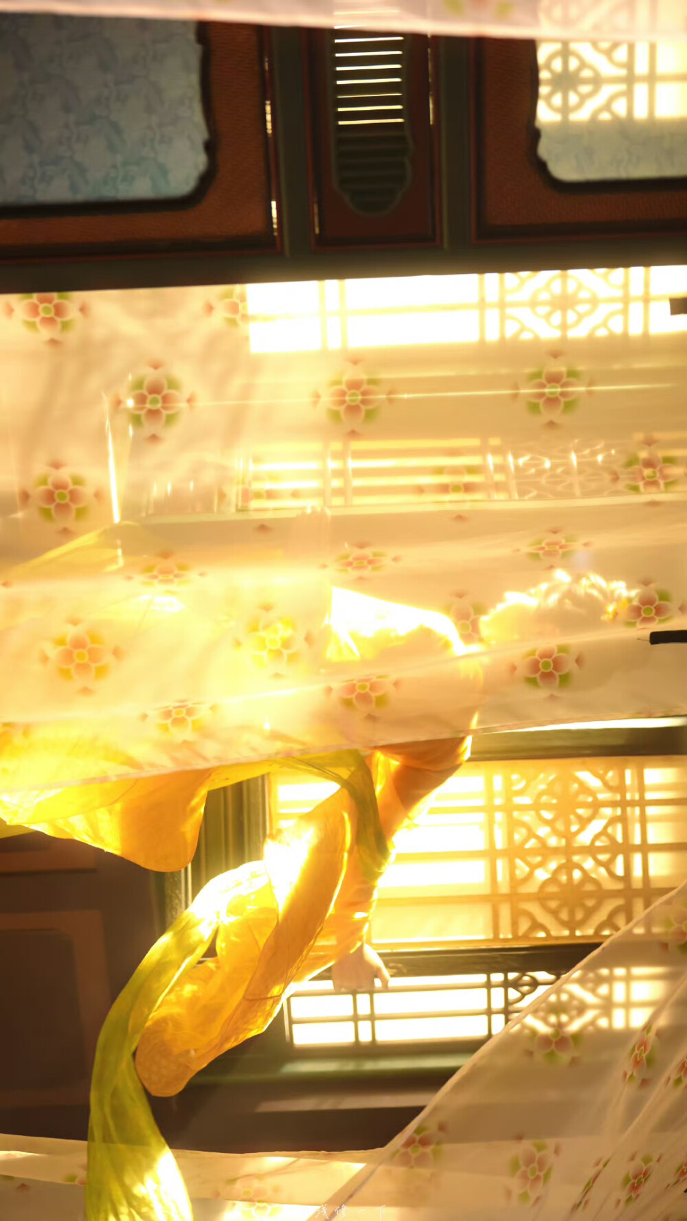 田曦薇 武祯