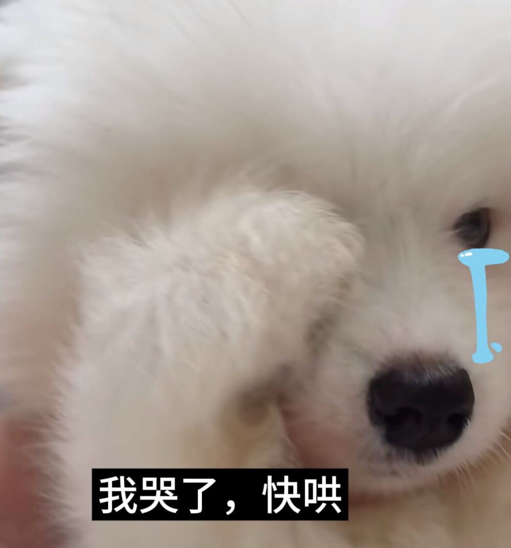 单收