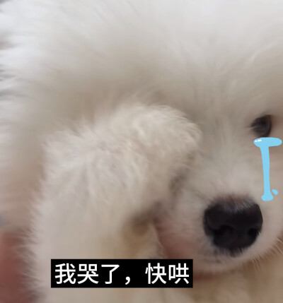 单收