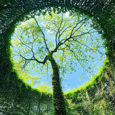 清新风格背景图