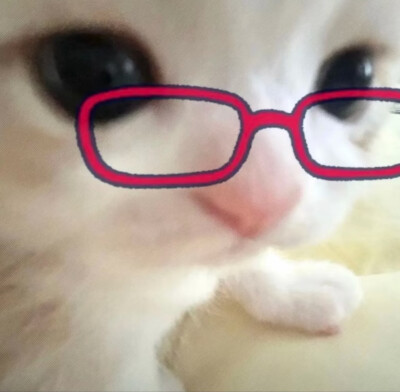 喵