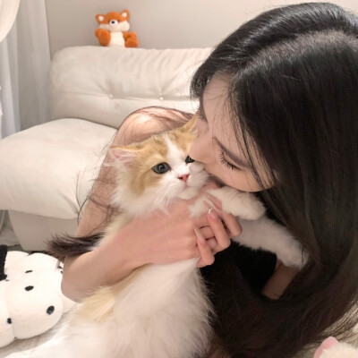 一起看愚蠢的晚霞吧