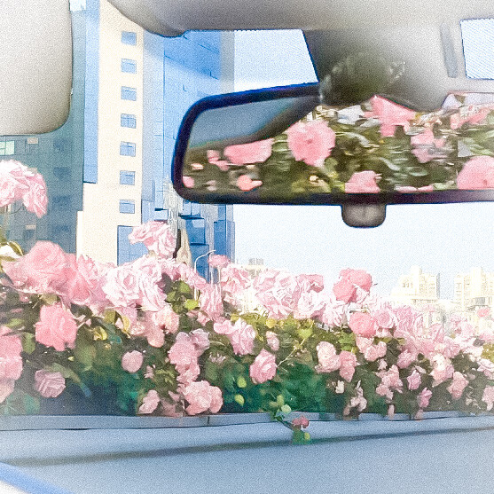 @椿木猫 许裕河亲亲送我的