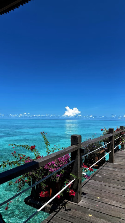 风景图