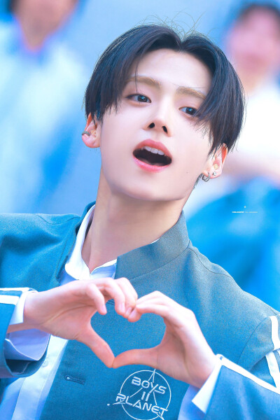 cotton_sw