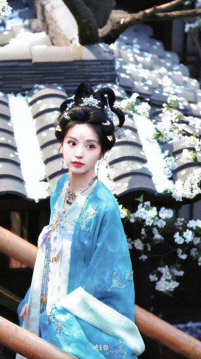 田曦薇 武祯