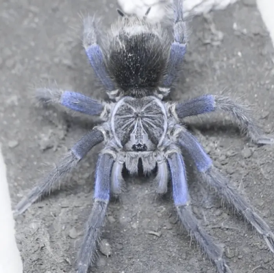 不如我的万中无一