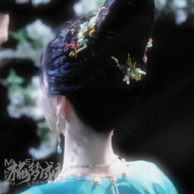 武祯x梅逐雨