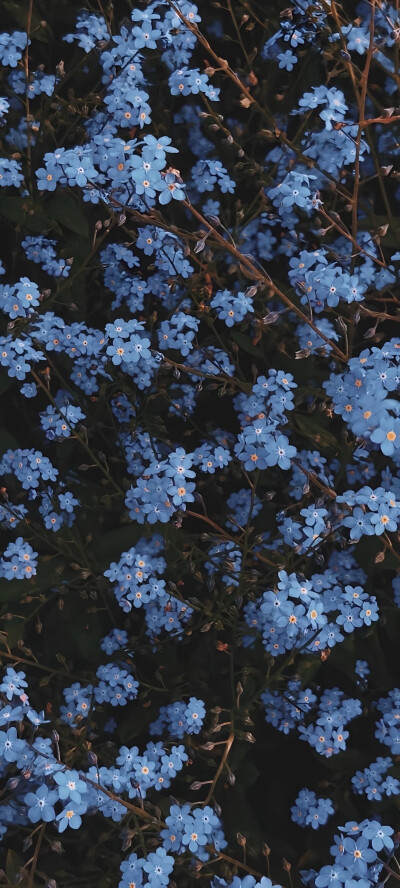 油画风工笔风壁纸 