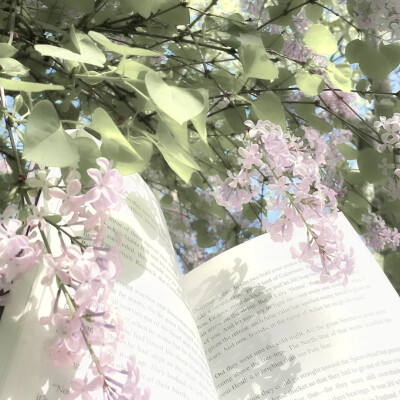 祈尔繁芜胜常春
