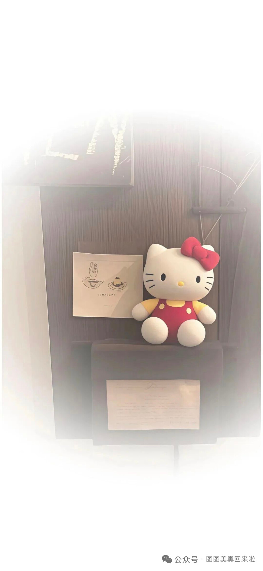 kitty