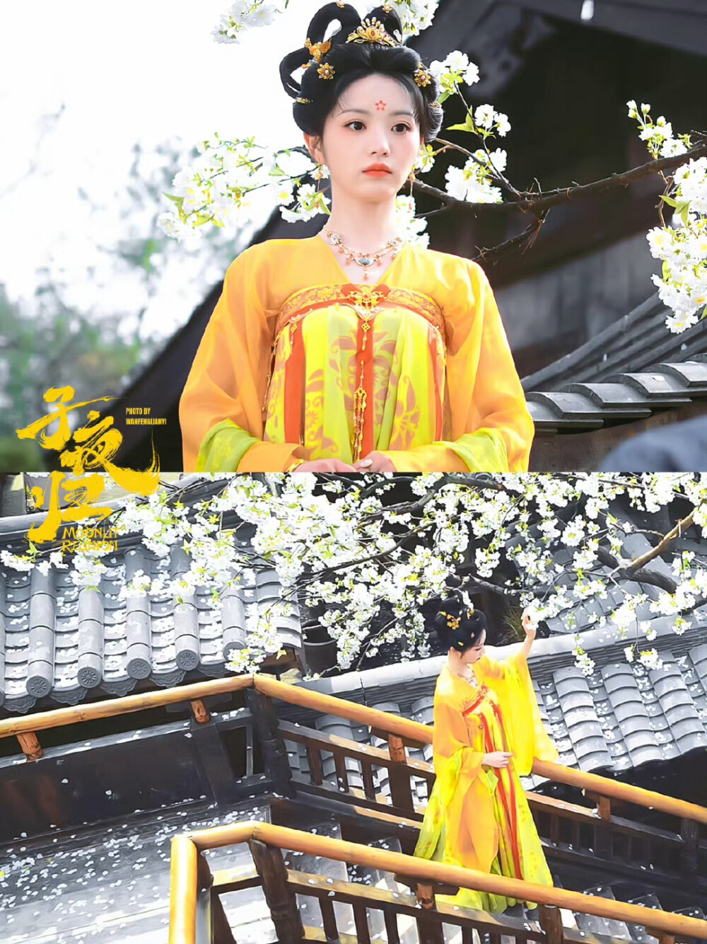 田曦薇 武祯