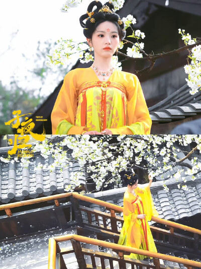 田曦薇 武祯