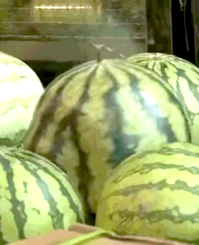 表情包