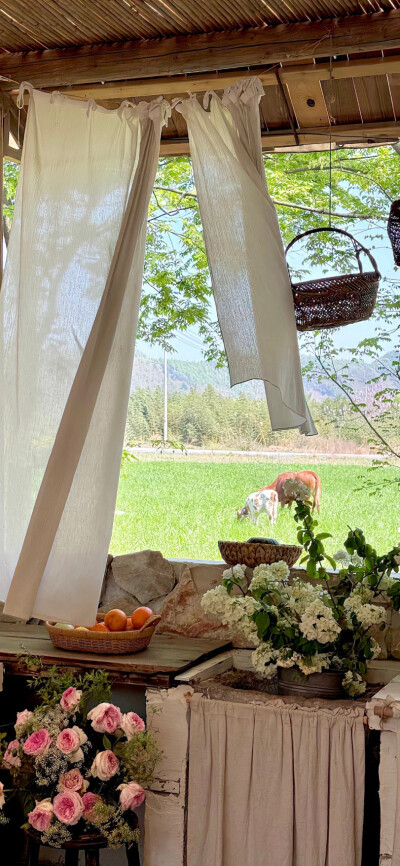 绿色壁纸 夏天壁纸