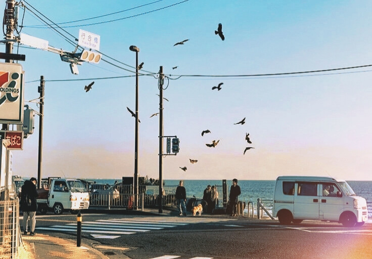 心扑通扑通跳