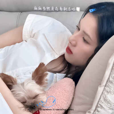 张婧仪