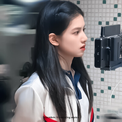 张婧仪