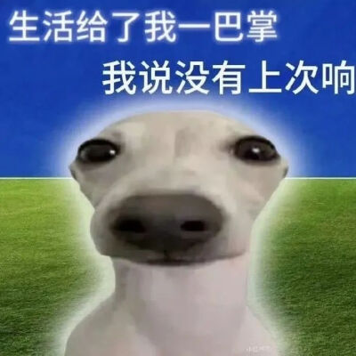 表情包