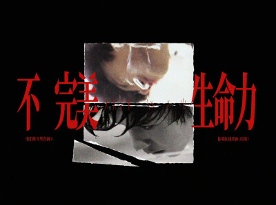 陈哲远