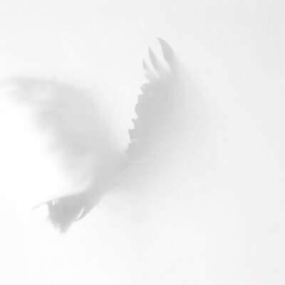 SuperLe"-の疯狂艺术家的画作...