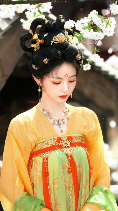 田曦薇 武祯