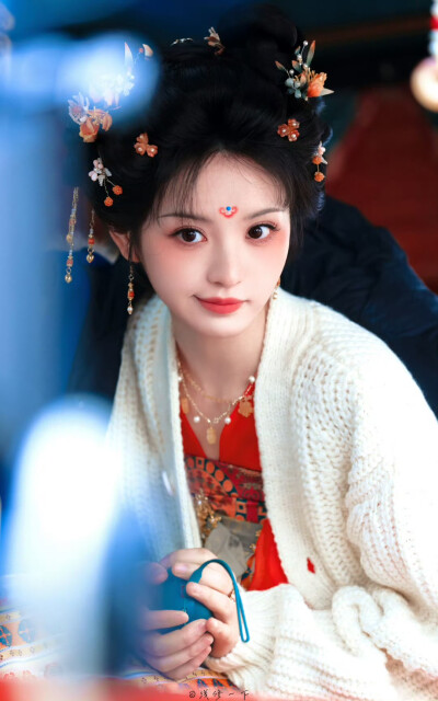 田曦薇 武祯