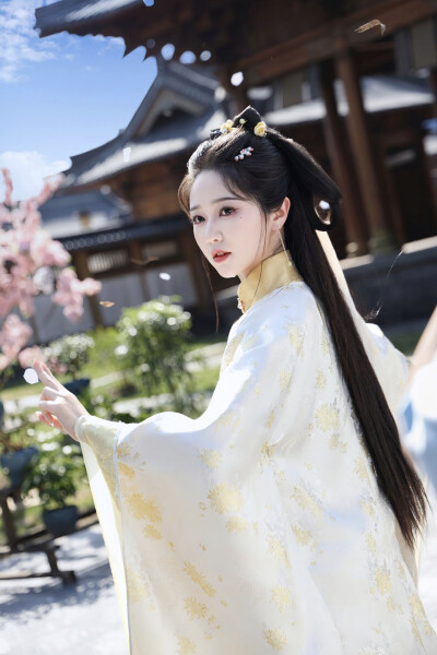 美人辞嫁 沈棠
