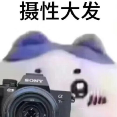 表情包