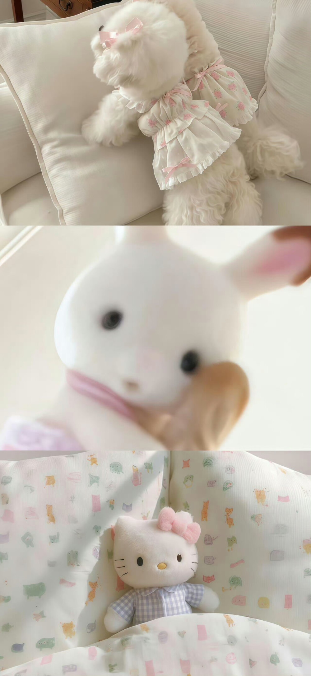 壁纸/聊天背景图