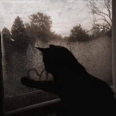 淹死在记忆的泪腺里却误以为走进爱的回南天