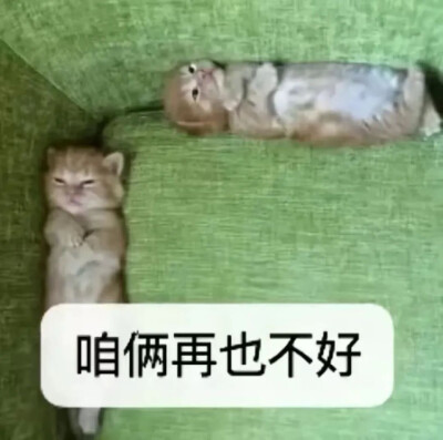 表情包