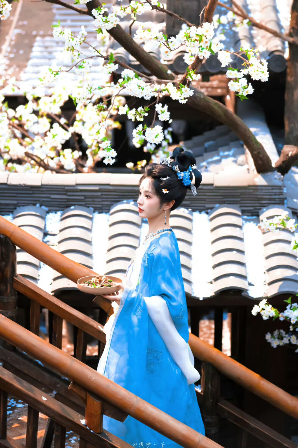 田曦薇 武祯