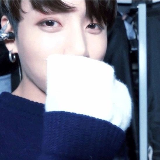 对此等萌物毫无抵抗力